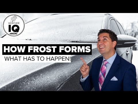 How Frost Forms: Weather IQ