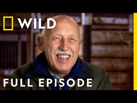 Incredible! The Story of Dr. Pol (Full Episode) | The Incredible Dr. Pol